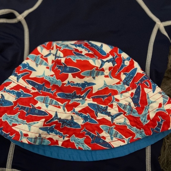 Boys Lands End Swim Tee plus Hat - Picture 3 of 4